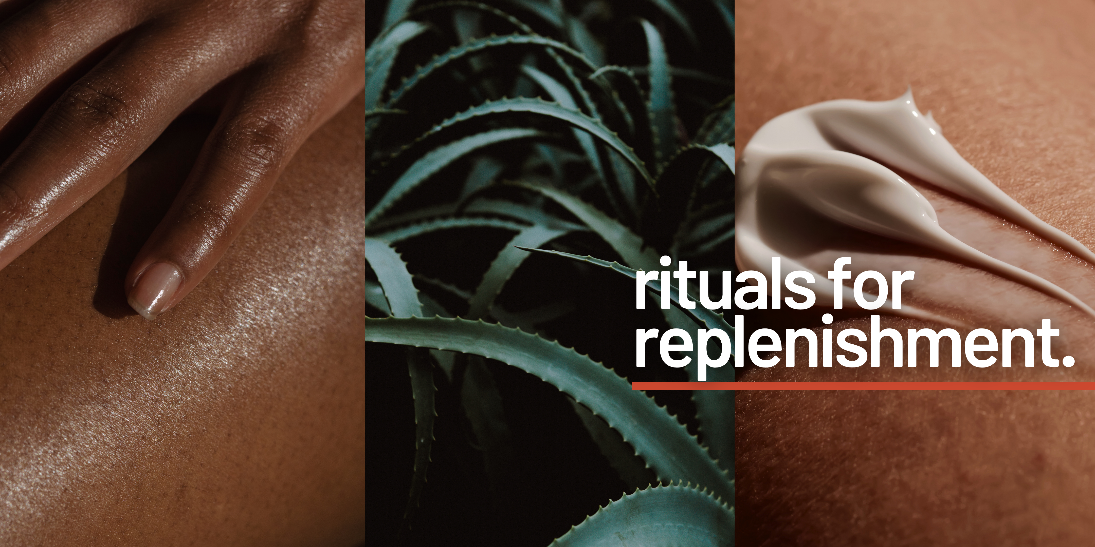 Dry Skin + Eczema